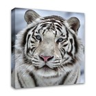 Картина на подрамнике "Белый тигр" 40*40 см - Фото 2