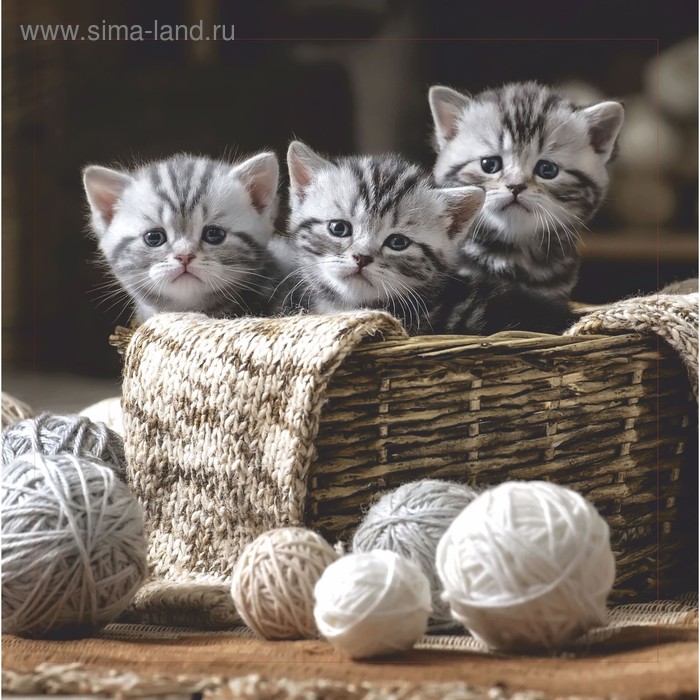 

Картина на подрамнике "Котята" 30*30 см