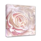 Картина-холст на подрамнике "Нежная роза" 30х30 см  (артикул 4194715)  большой выбор товаров оптом и в розницу по низким ценам с доставкой