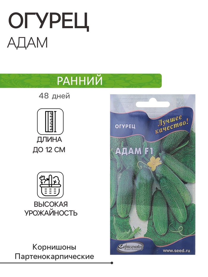 Семена огурца "Адам", F1, 6 шт. - Фото 1