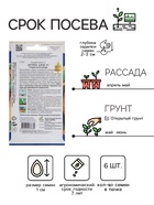 Семена огурца "Алекс", F1, 6 шт. - Фото 2