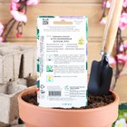 Семена цветов Астра помпонная "Голубая Луна" Дом семян, О, 100 шт - Фото 2