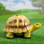 Садовая фигура из гипса «Черепаха Пашка», 21×14×13 см, МИКС - Фото 2