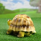 Садовая фигура из гипса «Черепаха Пашка», 21×14×13 см, МИКС - Фото 3