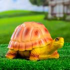 Садовая фигура из гипса «Черепаха Пашка», 21×14×13 см, МИКС - Фото 4