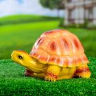 Садовая фигура из гипса «Черепаха Пашка», 21×14×13 см, МИКС - Фото 5
