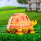 Садовая фигура из гипса «Черепаха Пашка», 21×14×13 см, МИКС - Фото 6