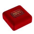 Медаль в бархатной коробке «Золотой учитель», d=7 см - Фото 5