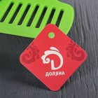 Набор кухонных принадлежностей Доляна «Радуга», 4 предмета, цвет зелёный - Фото 4