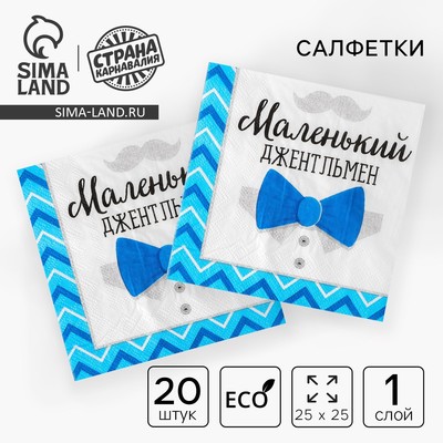 Салфетки бумажные на гендер-пати «Маленький джентльмен», 25 х 25 см, 20 шт.