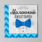 Салфетки бумажные на гендер-пати «Маленький джентльмен», 25 х 25 см, 20 шт. - Фото 5