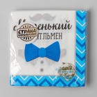 Салфетки бумажные на гендер-пати «Маленький джентльмен», 25 х 25 см, 20 шт. - Фото 6