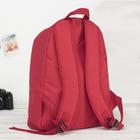 Рюкзак школьный «Новый день», 33х13х41 см, отдел на молнии, наружный карман, цвет красный - Фото 3