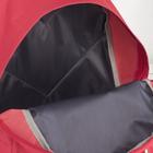 Рюкзак школьный «Новый день», 33х13х41 см, отдел на молнии, наружный карман, цвет красный - Фото 4