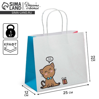 Пакет подарочный крафтовый, упаковка, «Котик», 25×22×12 см