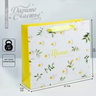 Пакет подарочный ламинированный горизонтальный, упаковка, «Цветочное счастье», ML 27 х 23 х 11,5 см - Фото 1