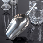 Совок для льда и сыпучих продуктов, 27×12×5.5 см, нержавеющая сталь, хромированный - Фото 1