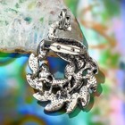 Брошь-кулон «Галиотис» жар-птица - Фото 2