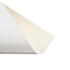 Картон белый А4, 8 листов двусторонний, мелованный, блок 230 г/м², EXTRA белизна, в папке, Calligrata TOP - Фото 8