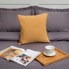 Декоративная подушка "Этель" 40х40 см, Английский стиль, цвет тёмно-бежевый,100% п/э - Фото 1