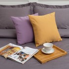 Декоративная подушка "Этель" 40х40 см, Английский стиль, цвет тёмно-бежевый,100% п/э - Фото 3