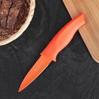 Нож кухонный «Перс», лезвие 8,5 см, цвет МИКС - Фото 1