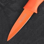 Нож кухонный «Перс», лезвие 8,5 см, цвет МИКС - Фото 3