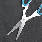 Набор ножей кухонных на подставке «Градиент», 7 предметов: 5 ножей, лезвие 8,5 см, 11,5 см, 16,5 см, 20 см, 20 см, мусат, ножницы, цвет синий - Фото 6