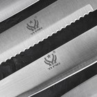 Набор кухонных ножей «Энеолит», 5 предметов: лезвие 8,5 см, 12,5 см, 19,5 см, 20 см, 20 см, цвет чёрный - Фото 2