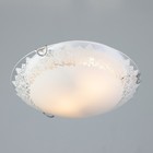 Светильник настенно-потолочный "Лоза" 2x60Вт E27 д.30см. - Фото 2