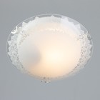Светильник настенно-потолочный "Лоза" 1x60Вт E27 д.25см. - Фото 2