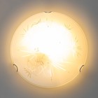 Светильник настенно-потолочный "Искры" 1x60Вт E27 д.25см. - фото 24451328