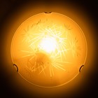 Светильник настенно-потолочный "Искры" 1x60Вт E27 д.25см. - фото 24451329