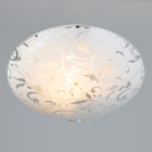 Светильник настенно-потолочный "Травка" 1x60Вт E27 д.25см. - фото 24451334