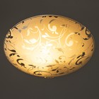 Светильник настенно-потолочный "Травка" 1x60Вт E27 д.25см. - фото 24451335