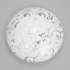 Светильник настенно-потолочный "Травка" 1x60Вт E27 д.25см. - фото 24451337