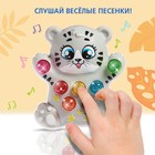 Музыкальная игрушка «Лучший друг: Кошечка», световые и звуковые эффекты - фото 4267130