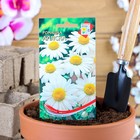 Семена цветов Ромашка "Аляска", 70 шт. - Фото 1