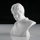 Гипсовая фигура известные люди: Бюст Есенина, 20 х 12,5 х 21,5 см - фото 298145005