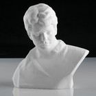 Гипсовая фигура известные люди: Бюст Есенина, 20 х 12,5 х 21,5 см - Фото 2