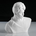 Гипсовая фигура известные люди: Бюст Есенина, 20 х 12,5 х 21,5 см - Фото 3