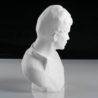 Гипсовая фигура известные люди: Бюст Есенина, 20 х 12,5 х 21,5 см - Фото 4