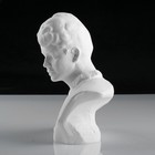 Гипсовая фигура известные люди: Бюст Есенина, 20 х 12,5 х 21,5 см - фото 8930796