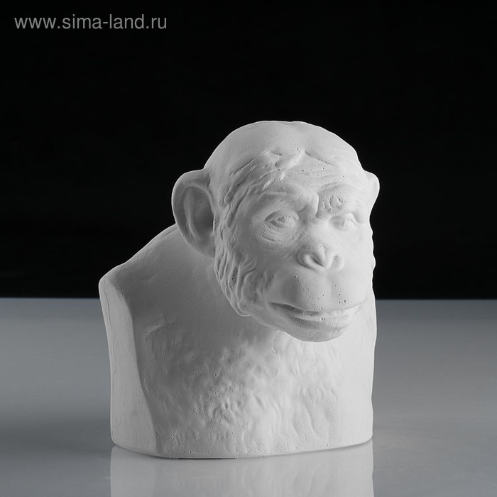 Гипсовая фигура Бюст шимпанзе "Мастерская Экорше", 14х13х15 см - Фото 1