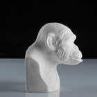 Гипсовая фигура Бюст шимпанзе "Мастерская Экорше", 14х13х15 см - Фото 2