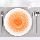 Тарелка фарфоровая Доляна «Космос», d=27 см, цвет оранжевый - Фото 1