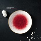 Тарелка фарфоровая Доляна «Космос», d=18,5 см, цвет красный - Фото 7
