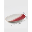 Блюдо Доляна «Космос», 31.5×22 см, овальное, фарфор, белое, красное - Фото 2