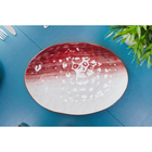 Блюдо фарфоровое Доляна «Космос», 31,5×22 см, цвет красный - фото 4267397