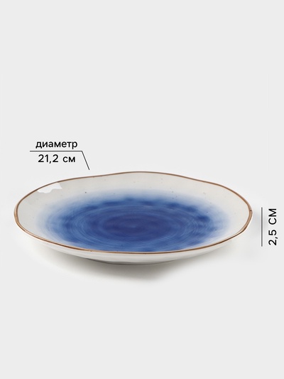 Тарелка Доляна «Космос», d=21.2 см, фарфор, белая, синяя